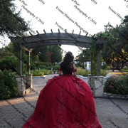 IMG 2638
