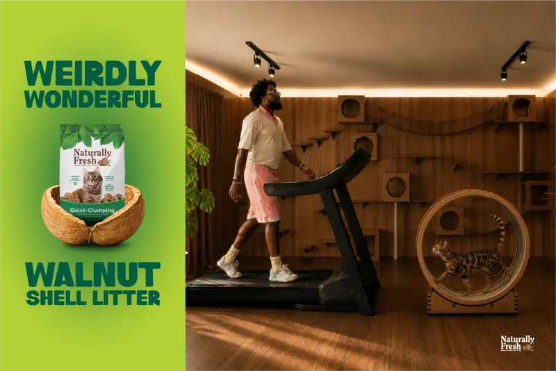 The Unexpected Benefits of a Unique Cat Litter