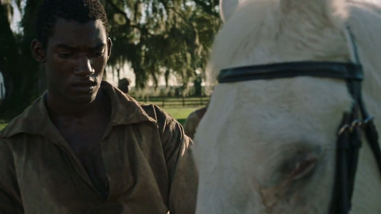 Roots Part 1 Screenshot