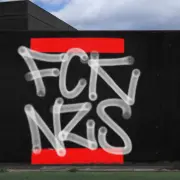 Wallz: FCK NZS! by ZERB213