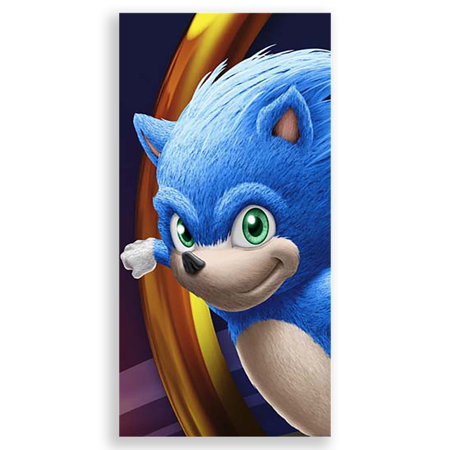 31001585-Sonic