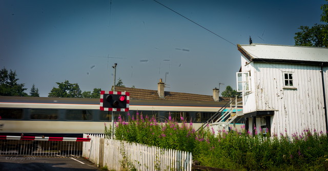 L1461436.jpg