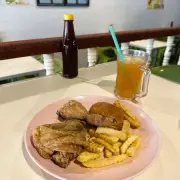 美国喜爱鸡4