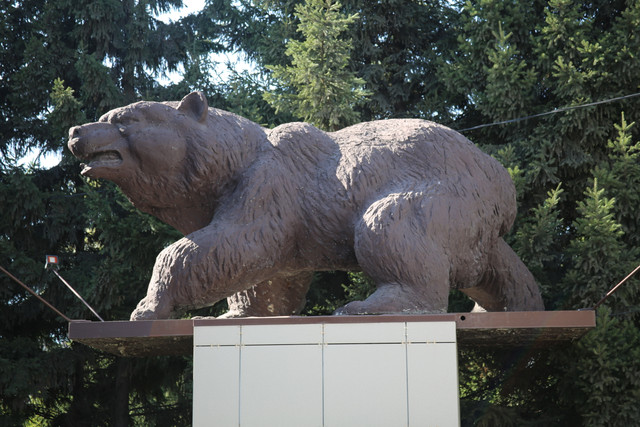 IMG 3518.jpg