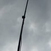 IMG 7241