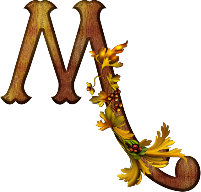 M 541738