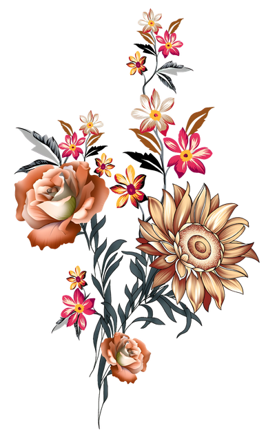 nohat-bg-removed-b4bdf1d3.png