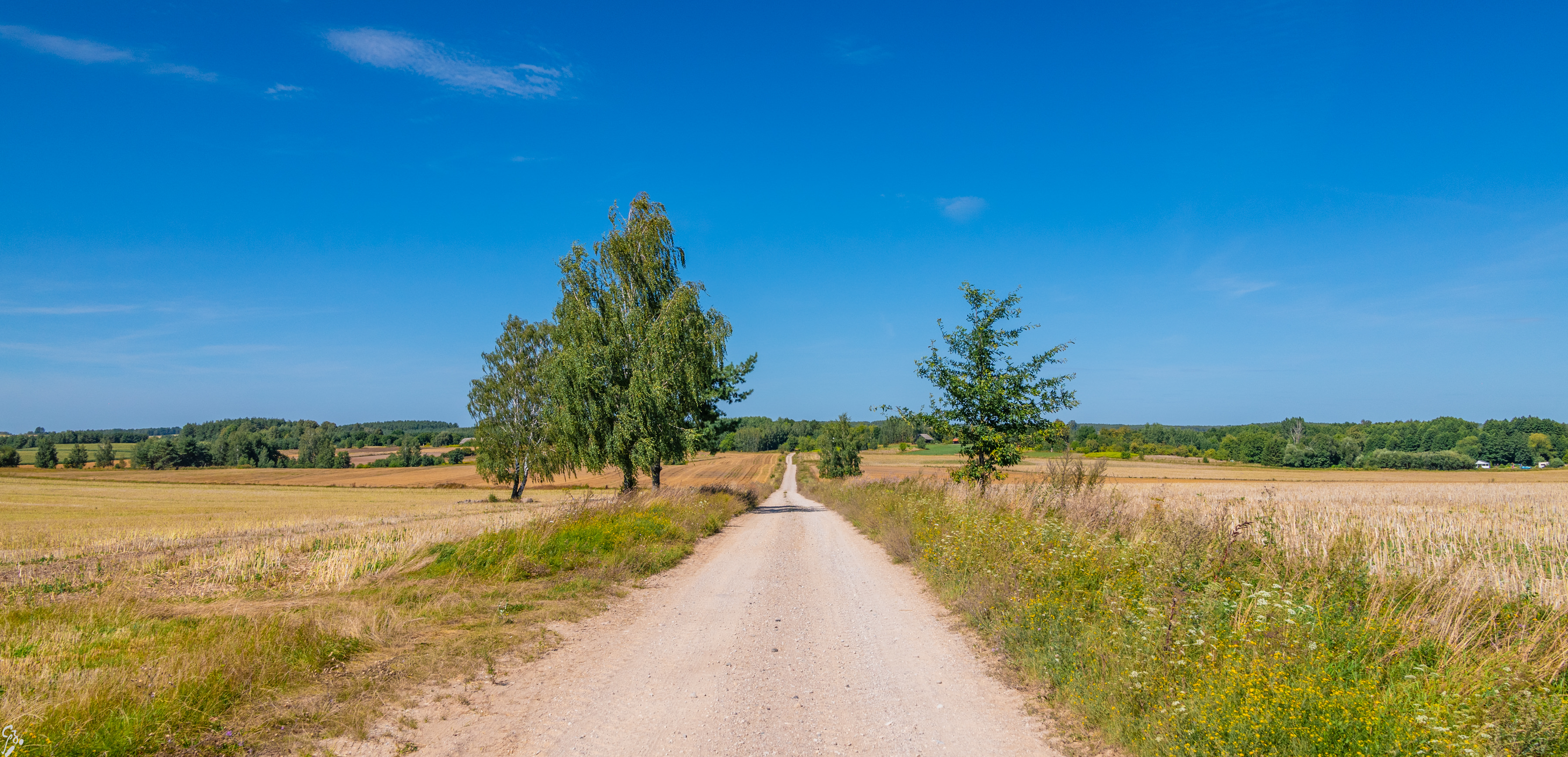 podlasie3 d1 17