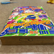 IMG 5011 (002)