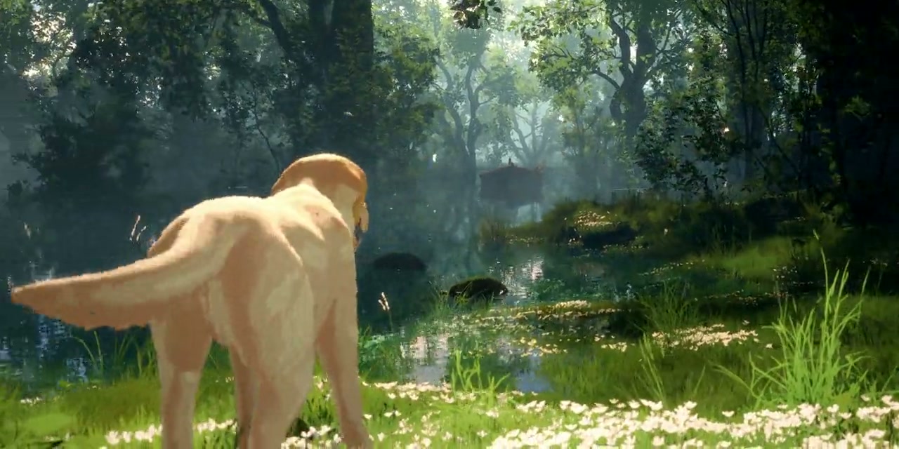 Flow aka Straume Screenshot