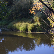 DSC 0921