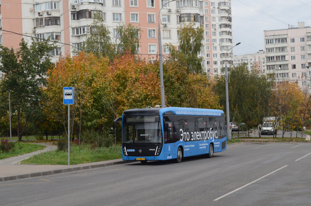 AAA 5049
