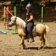 DSC04321