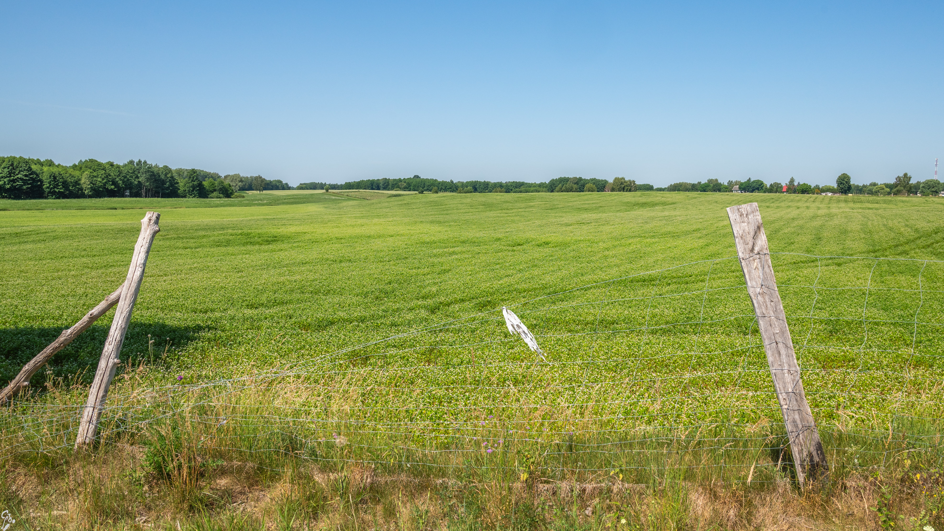 warmia d1 12