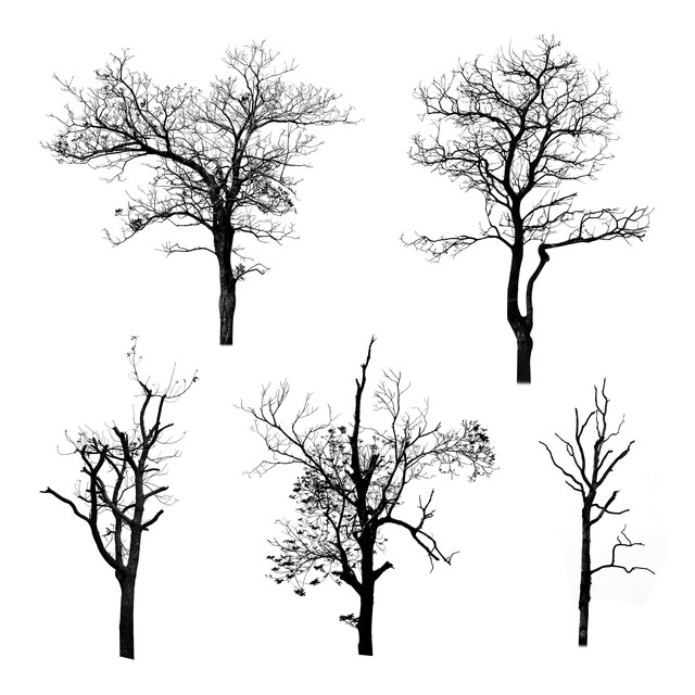 shutterstock 189819911