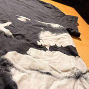 IMG 4629