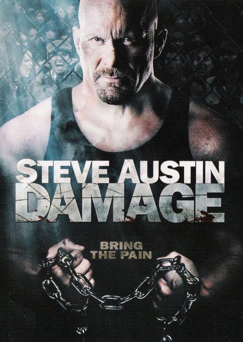 Skaza / Damage (2009) PL.720p.BRRip.XviD.AC3-ELiTE / Lektor PL