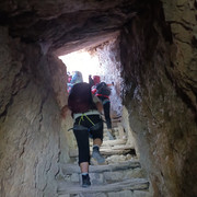 IMG 3563