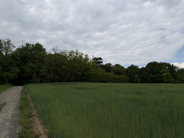 IMG 2362.jpg