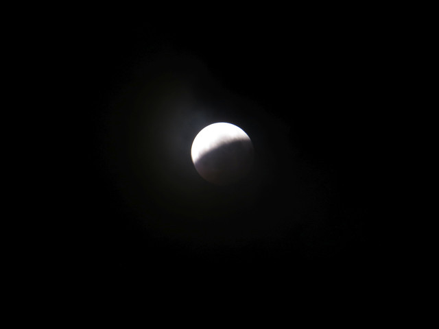 IMG 0239.jpg