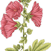 01-925