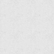 Fine-Halftone-Screen-Medium