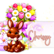 Chrissy 91ºBanner