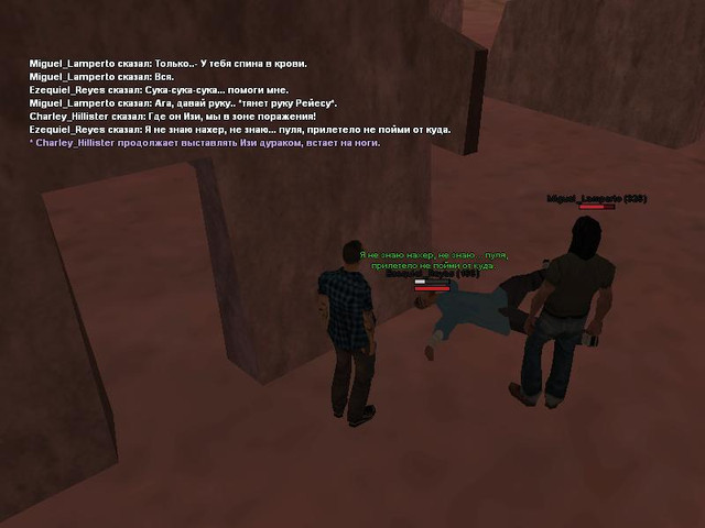 gallery336.jpg