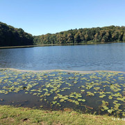 IMG 3697