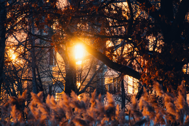 DSCF5761 копия