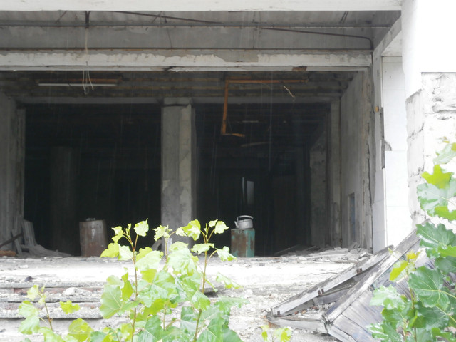 OLYMPUS-DIGITAL-CAMERA.jpg