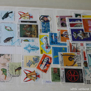 IMG-3499