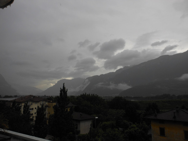 DSCN3233