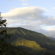 DSC7124