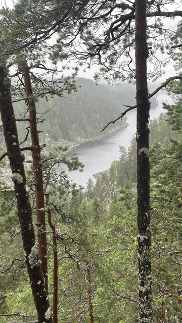 IMG 4876.jpg