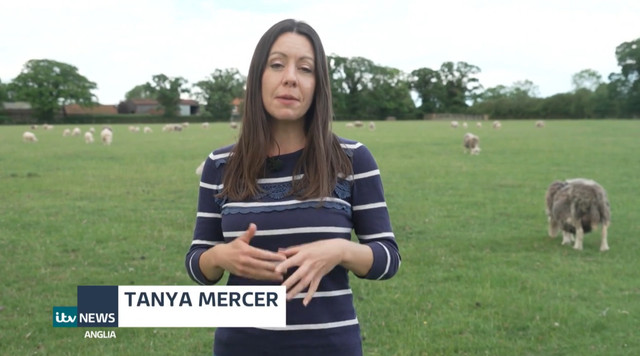 IMG 7201