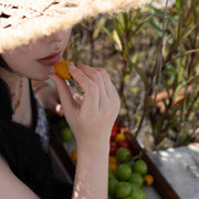 热风 (45)