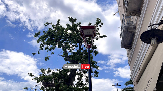 23-IMG-5699