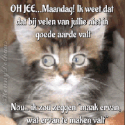 becd2a3d9b66f1c6ca017c680c3555f5.gif