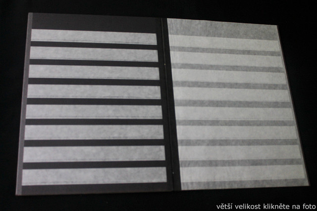 IMG-6794.jpg