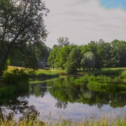IMGP3345