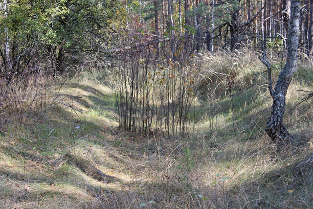 IMG-2190