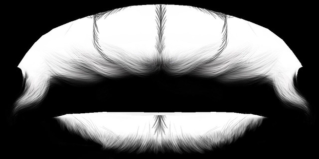 Front-copy