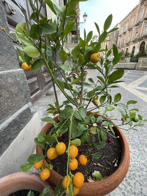IMG-9417