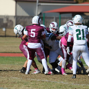 IMG-8200
