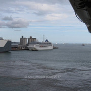 IMG-4236