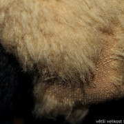 IMG-8859