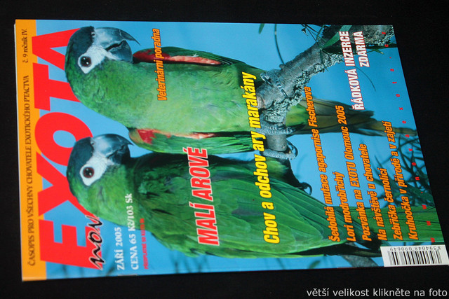 IMG-7789