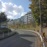 IMG-20240407-151125