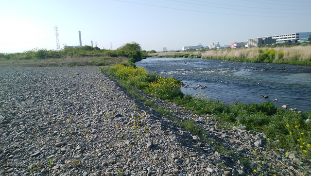 DSC-0035